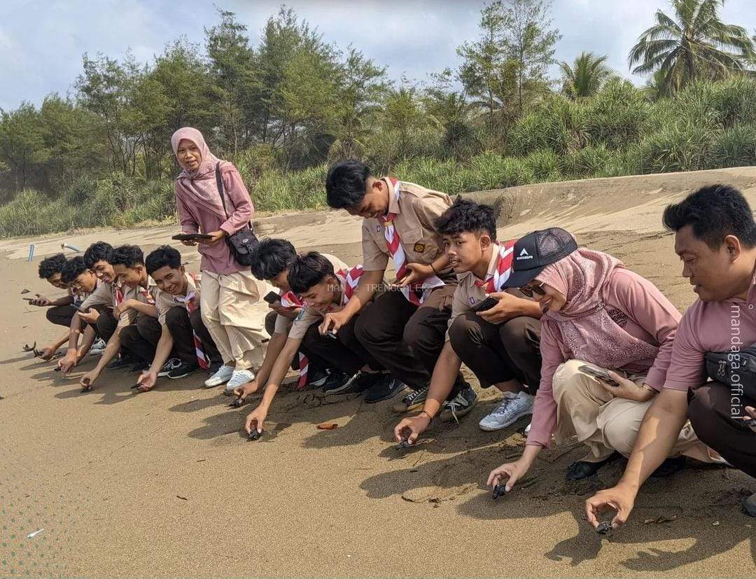 Dukung Pelestarian Lingkungan, Sejumlah Siswa Dan Guru MAN 2 Trenggalek Ikuti Kegiatan Pelepasan (  Tukik ) Anak Penyu 
